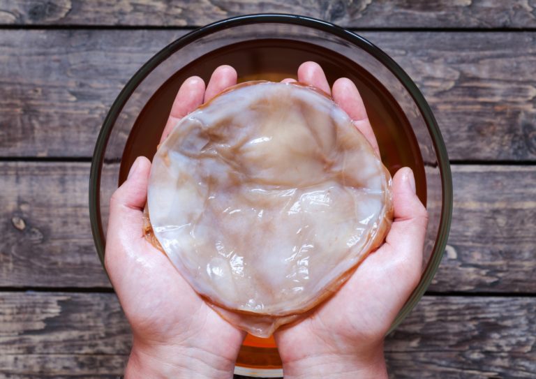 SCOBY