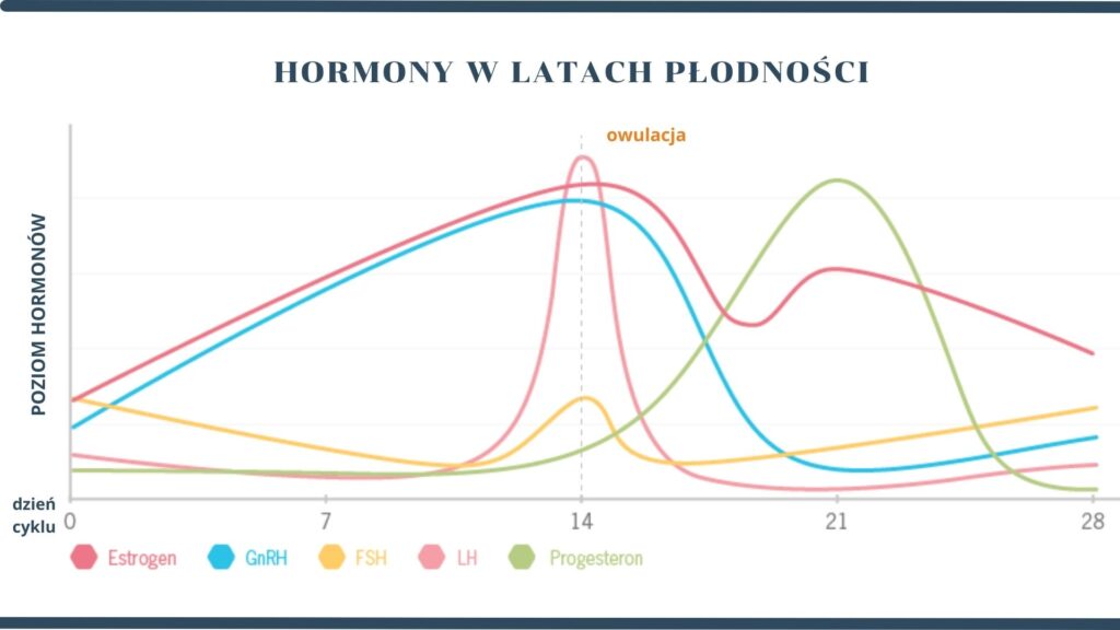 hormony płodności dieta po 40